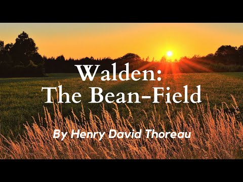 , title : 'The Bean Field from Walden by Henry David Thoreau: English Audiobook with Classic Text on Screen'