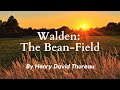 The Bean Field from Walden by Henry David Thoreau: English Audiobook with Classic Text on Screen
