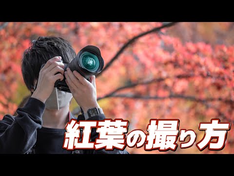 『タトルト 森の主』だからこそ撮影は大変だった