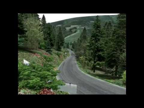 P.Karapetkov - SS06 RallySprint Tvardica 2014 (RBR)