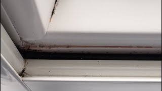 How to clean and prevent mold and mildew from window sills and frames.