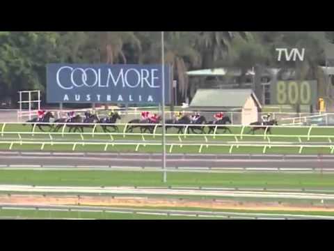 Watch Go Indy Go (Bernardini) win the G1 Champagne Stakes at Randwick, Australia, 2014