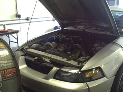 665 hp dyno 2v 4.6 T-trim Vortech GT Mustang 4/03/09