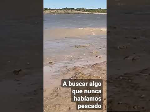 Una de las mejores pescas que pudimos meter #RepresadeBaygorria #Durazno #Patisotes