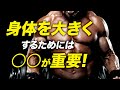 【増量】身体を大きくするために〇〇が重要な3つの理由【ビーレジェンド プロテイン】