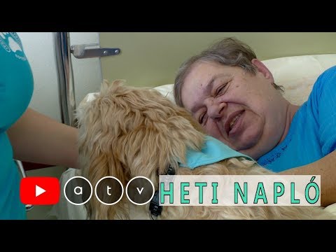 ha súlyos hüvelykujjfájdalom