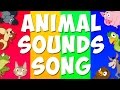 Animal Sounds Song Learn Animals Sound