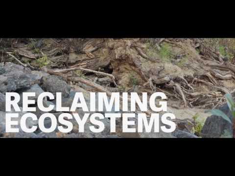 TRU Research: Leading locally, informing globally