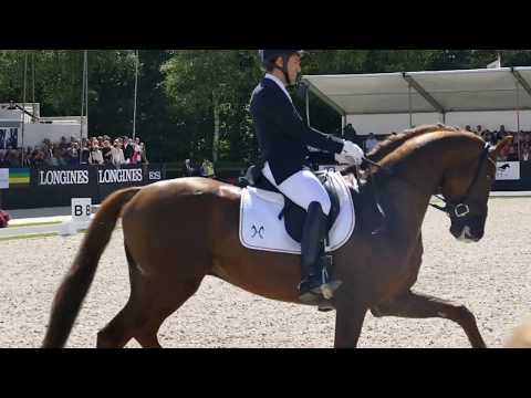 D'Avie at CH-M-D YH Final for 5 year old horses