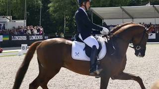 Les engagés des Championnats du Monde Jeunes Chevaux