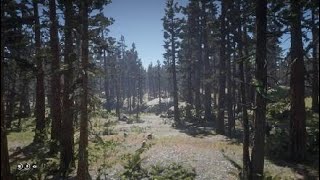 Red Dead Redemption 2 Tall Trees