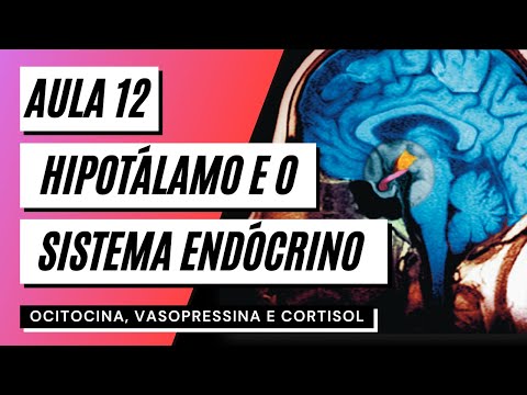 Videoaula 12 Hipotálamo e o sistema endócrino - EIXO HIPOTÁLAMO-HIPÓFISE
