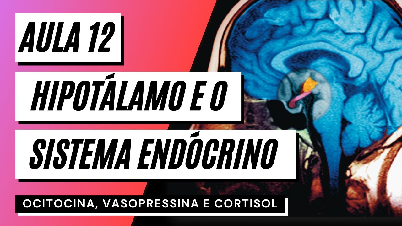 Videoaula 12 Hipotálamo e o sistema endócrino - EIXO HIPOTÁLAMO-HIPÓFISE
