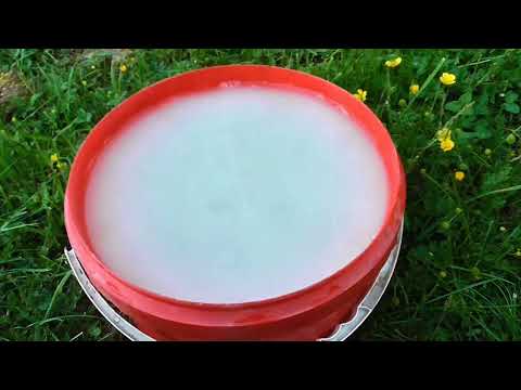 Ekologiczny nawóz z drożdży piekarskich ( niefermentowany ).