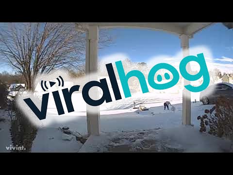 Wife Slides Down Steep and Slippery Driveway || ViralHog