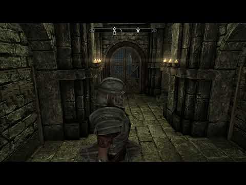 Skyrim - Imperial Champion Armor