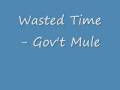 Gov't Mule Wasted Time