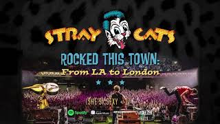 Stray Cats - She&#39;s Sexy + 17 (LIVE)