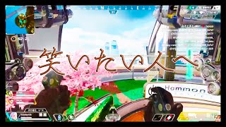 笑いたい人に向けた動画
