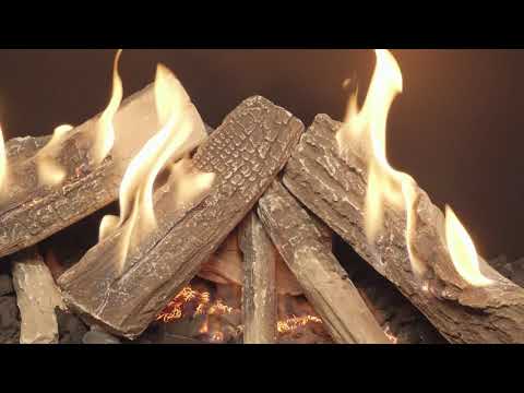 The Wilderness Collection by Ortal