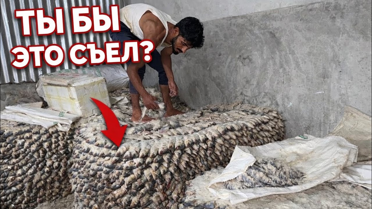 Бангладеш! Я приехал на Самую Грязную реку в Мире и увидел процесс приготовл?
