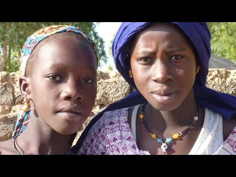 Africa..Mali ..from  Mopti to  Timbuktu  ..second  day  on  the  Niger  River..small  village .  HD