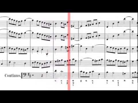 BWV 1067 - Orchestral Suite No.2 (Scrolling)