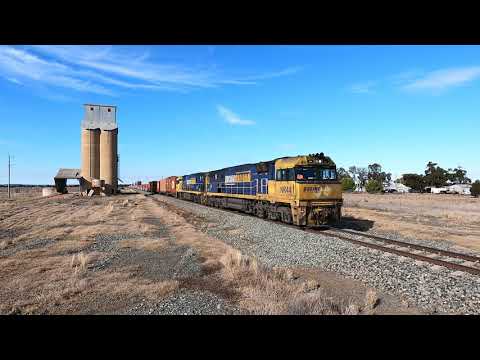 NR44 & NR65 Nelungaloo NSW.   Fri 02nd June 2023