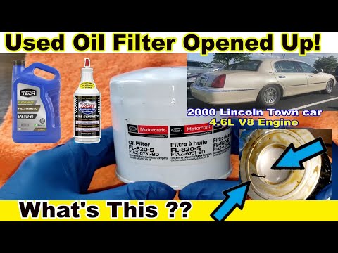 Motorcraft FL820S Oil Filter Cut Open, Used Oil Filter Cut Open