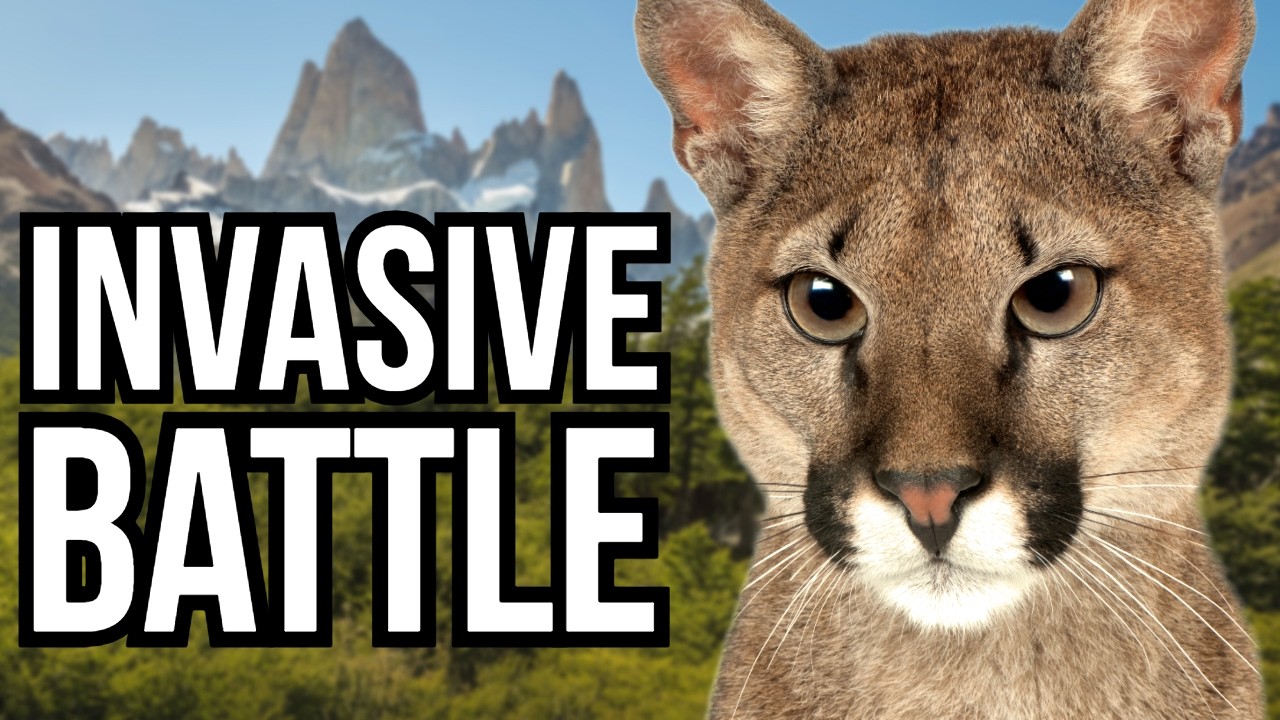 4 South American Predators That Fight Back And Combat Invasive Species To Save Their Ecosystem