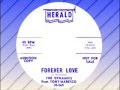 The Dynamics feat. Tony Maresco - Forever Love (HERALD)