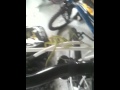 Scary PrayingMantis Enjoying Country Music
