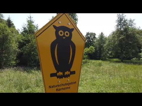 Rundgang durch das Schwarze Moor:Rhön