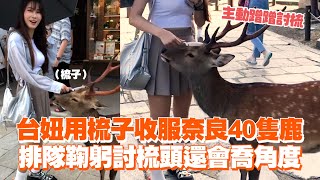 Re: [新聞] 丟臉丟到國外！台灣人惡搞日本奈良鹿 嬉