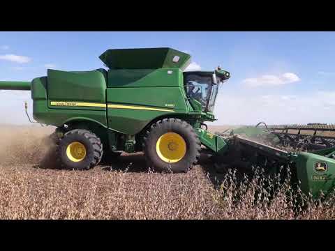 Cosecha soja 2019 General Baldissera