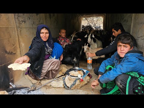 Akram and her sons keep the goats warm under the bridge