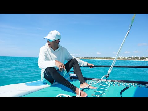 7🌴 - Alex Logos & Yexay The Majestik Melody (Official Visualizer)