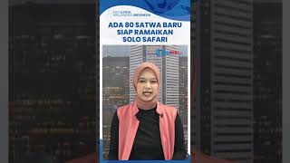 Solo Safari Dibuka untuk Umum 27 Januari 2023, 80 Satwa akan Tiba Akhir Pekan Ini secara Bertahap