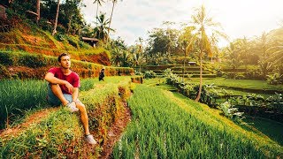 EXPLORE BALI - Ubud