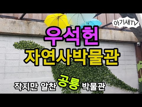 우석헌자연사박물관|아이랑가볼만한곳|주말일상|나들이 |아기새랑 출발♡