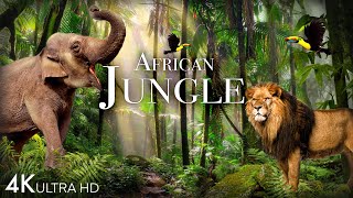African Jungle 4K - The Worlds Second-Largest Trop