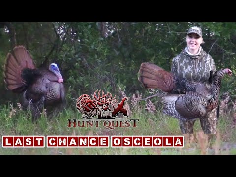 Hunt Quest w/ Scott Ellis-Last weekend of Florida Season-Awesome off the roost Osceola!