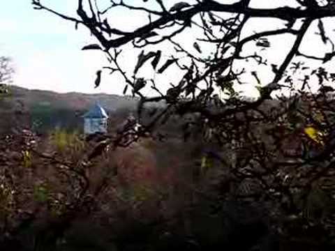 Bratesti noiembrie 2007