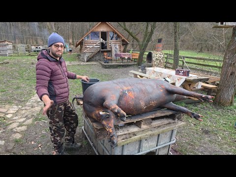 IGNATUL PORCULUI la ȚARĂ 🐖🔥 Datini și Obiceiuri Străvechi | Tradiții Românești ca odinioară