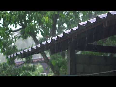 ?️? RELAXE COM O SOM DA CHUVA: UMA NOITE DE SONO REVITALIZANTE!