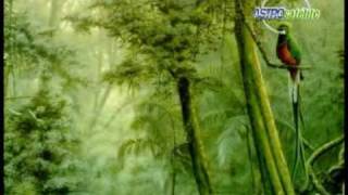 Himno Nacional de Guatemala National Anthem