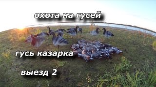 Как ловить на казарку
