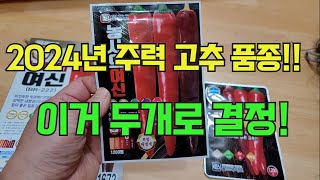 2024년 심을 고추 종자 선택완료! 1월 9일날 파종합니다.