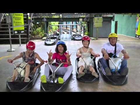 Happy Birthday Ashley Salar