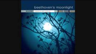 Beethoven's Moonlight - Minuet In G